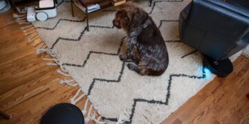 The things a robot vacuum reviewer’s dog has to deal with …