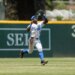 A baseball player in a UCLA uniform catches a fly ball in the outfield.