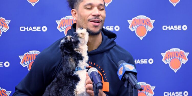 Josh Hart brings a dog with him to Knicks practice on May 13, 2026.