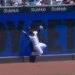 Yankees outfielder Jasson Dominguez crashes into the wall making a catch in the first inning on May 7, 2026.