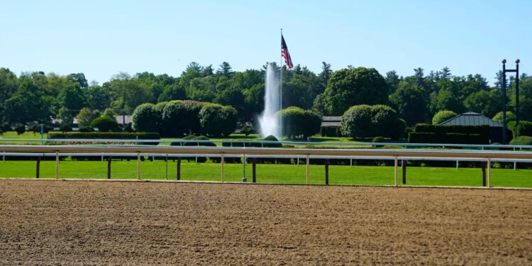 belmont-undercard-picks