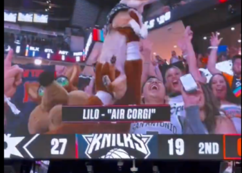 A corgi dressed in a jersey is held up by cheering fans at a basketball game, with the score Knicks 27, 19 in the second quarter.