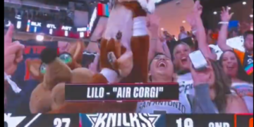 A corgi dressed in a jersey is held up by cheering fans at a basketball game, with the score Knicks 27, 19 in the second quarter.