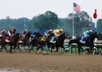 A group of jockeys on horseback race around the first turn of the Belmont Stakes.