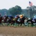 A group of jockeys on horseback race around the first turn of the Belmont Stakes.