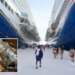 Cruise tipping charges are 'out of control,' say passengers as companies tout 'exceptional service'