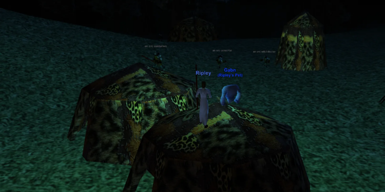 The author, revisiting Orc hill at night.