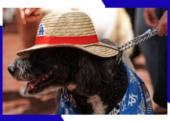 Get tickets for the Dodgers One Piece Night with a discount