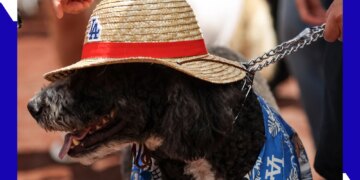 Get tickets for the Dodgers One Piece Night with a discount