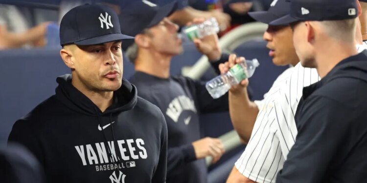 Giancarlo Stanton in the New York Yankees dugout.