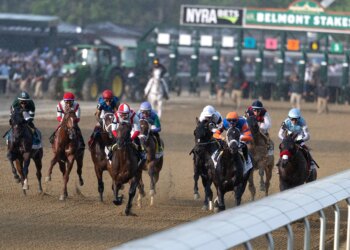 Horse racing can give glimpse into ugly side of human condition
