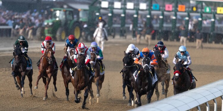 Horse racing can give glimpse into ugly side of human condition
