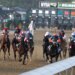 Horse racing can give glimpse into ugly side of human condition