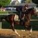 How to watch 2026 Belmont Stakes for free: Start time, horses