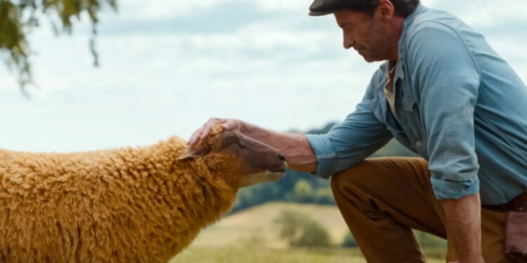 How to watch 'The Sheep Detectives' for free on Prime Video