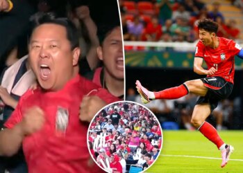 Korea soccer team spreads contagious World Cup fever across North America
