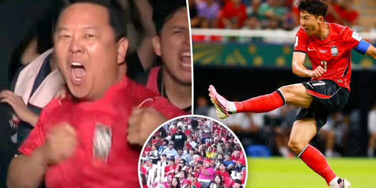 Korea soccer team spreads contagious World Cup fever across North America