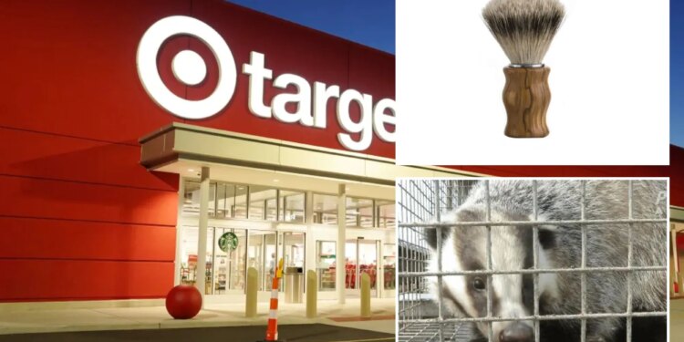 Major retailers stop selling brushes made with badger hair