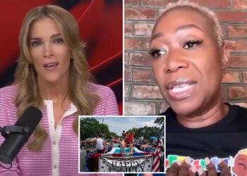 Megyn Kelly blasts Joy Reid for saying 'nobody black I know' is excited about 4th of July