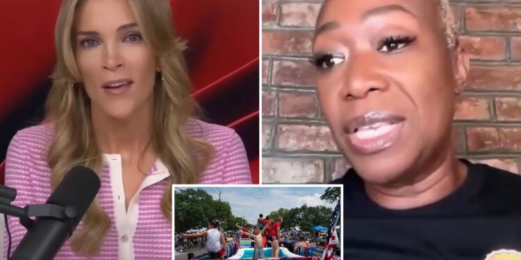 Megyn Kelly blasts Joy Reid for saying 'nobody black I know' is excited about 4th of July