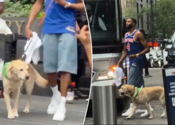 Mikal Bridges brings his dog to Knicks' champonship parade