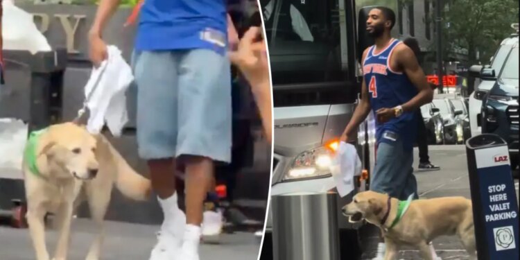 Mikal Bridges brings his dog to Knicks' champonship parade