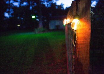 Govee’s solar-powered string lights added another dimension to my outdoor lighting setup. The Govee lamppost in the distance also helps extend my garden’s usability after dark.