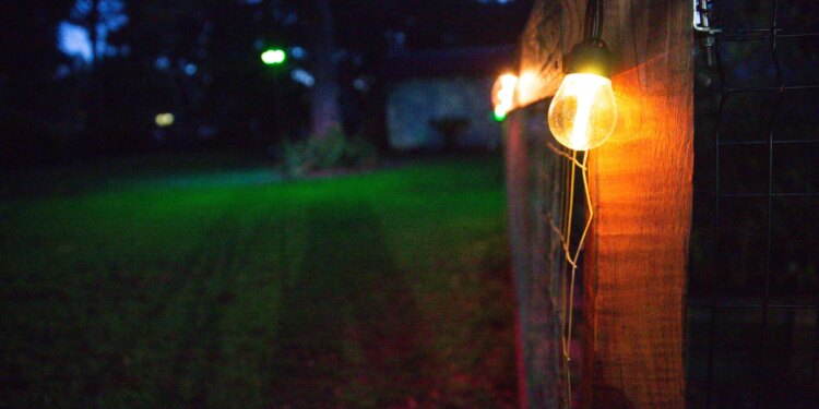 Govee’s solar-powered string lights added another dimension to my outdoor lighting setup. The Govee lamppost in the distance also helps extend my garden’s usability after dark.