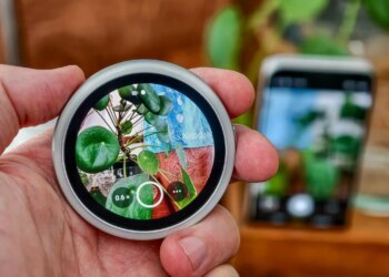 Photo of Oppo Bubble taking a photo of a plant as a camera remote