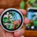 Photo of Oppo Bubble taking a photo of a plant as a camera remote