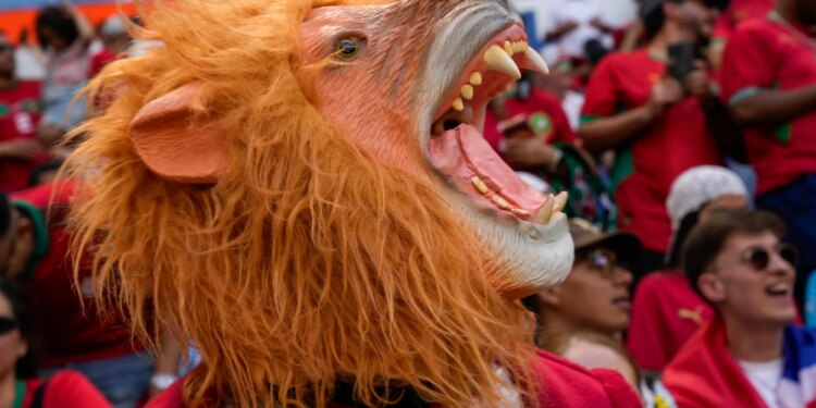 Polymarket promo code NYPMAX: Deposit $20, get $50 for Saturday's World Cup games