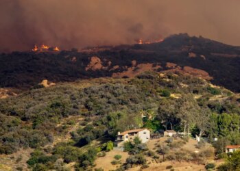 Prosecutors used ChatGPT logs as evidence in the Palisades fire trial