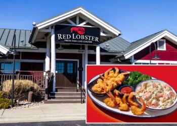 Red Lobster's disastrous 'Endless Shrimp' deal was owner's scheme to squeeze profits: lawsuit