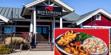 Red Lobster's disastrous 'Endless Shrimp' deal was owner's scheme to squeeze profits: lawsuit