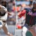 Robbie Ray continues to build trade case in Giants' win over Braves