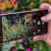 Photo of the Sony Xperia 1 VIII in front of flowers, showing the AI Camera Assistant