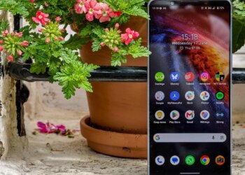 Photo of the Sony Xperia 1 VIII sitting on a windowsill in front of flowers, showing the home screen