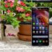 Photo of the Sony Xperia 1 VIII sitting on a windowsill in front of flowers, showing the home screen