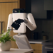The next humanoid robot might not look human at all