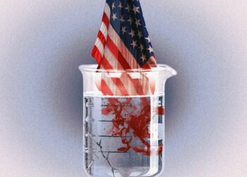 The war against ‘woke’ could end US science as we know it