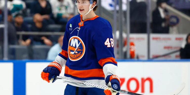 The Islanders are looking to build around their young start Mathew Schaefer to show they're team can be a destination spot for other big names, The Post's Ethan Sears writes.