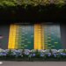 A visitor walks by the Gentlemen's Singles and Ladies' Singles match boards at Wimbledon.