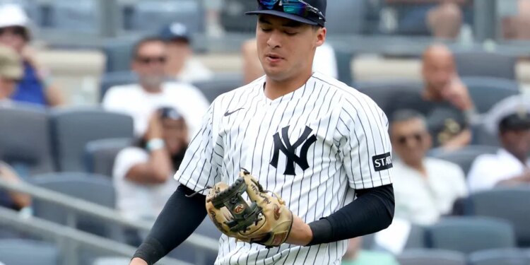 Yankees shortstop Anthony Volpe (11) in the field against the Minnesota Twins.
