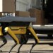Boston Dynamics tries using ‘robot dogs’ for deliveries