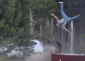 A bison flipping a man into the air at Yellowstone National Park.