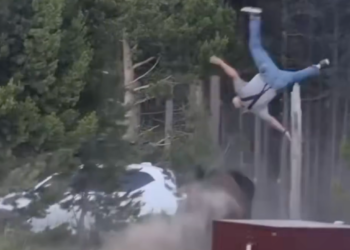 A bison flipping a man into the air at Yellowstone National Park.