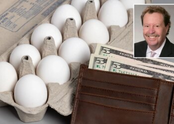 Family that founded egg empire pocketed $320M during alleged price-fixing scheme: report