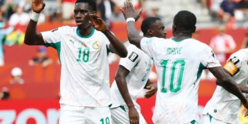 Fanatics Sportsbook promo code NYPOST26: Get up to $1000 Matched in FanCash for Belgium vs. Senegal