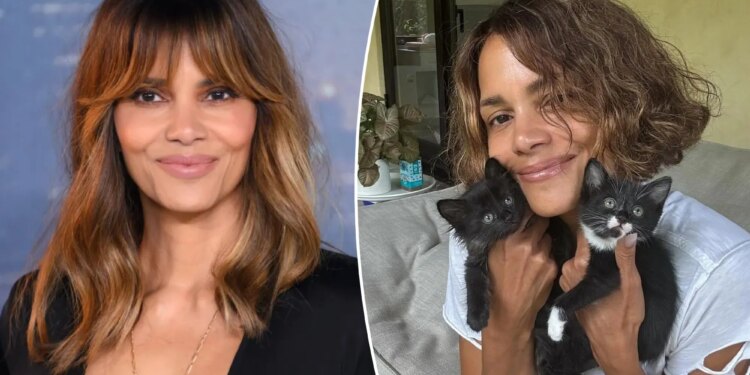 Halle Berry says perimenopause felt like 'razor blades in my vagina'
