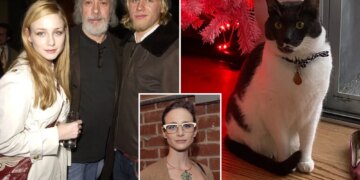 Hollywood actress claims foundation wrongly rehomed her rescue cat